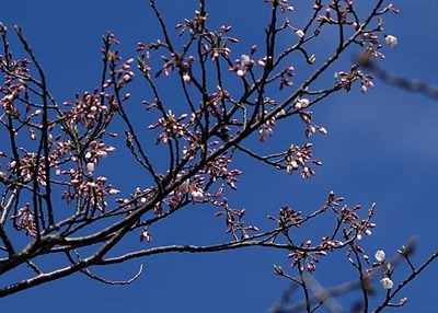 190323-05.jpg