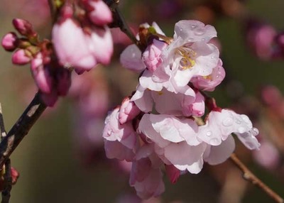 190323-06.jpg