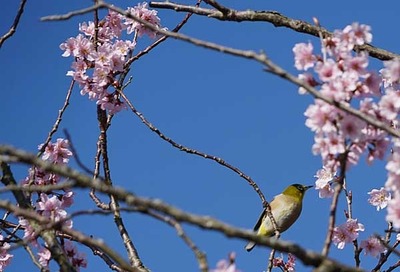 190323-07.jpg