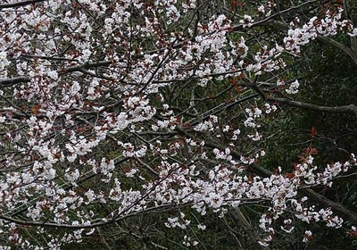 190323-08.jpg