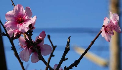190323-11.jpg