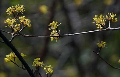 190323-12.jpg
