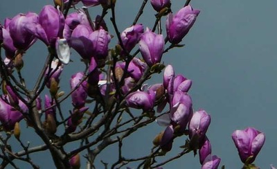 190323-13.jpg