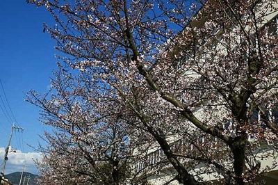 190331-04.jpg