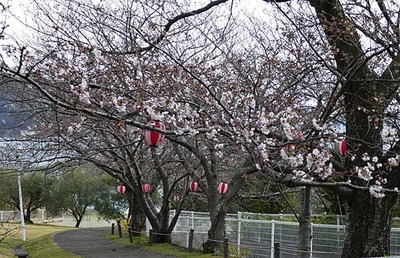 190331-05.jpg