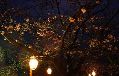 190331-06.jpg
