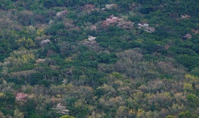 190331-07.jpg