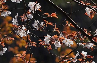 190331-08.jpg