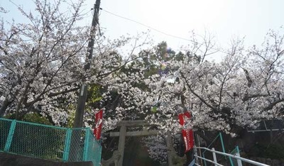 190406-08.jpg