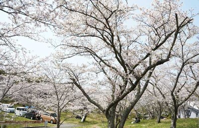 190406-09.jpg