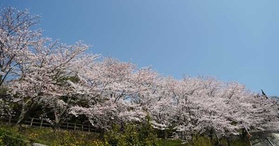 190406-10.jpg