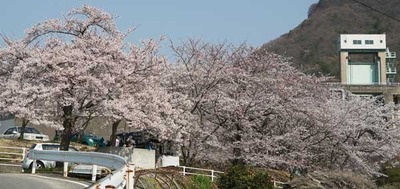 190406-11.jpg