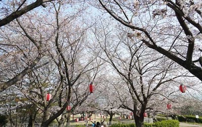 190406-12.jpg
