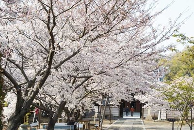 190406-14.jpg