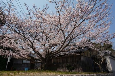 190406-20.jpg