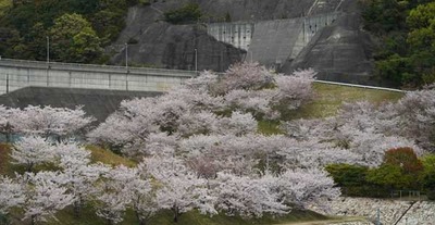 190413-01.jpg
