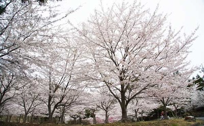 190413-03.jpg