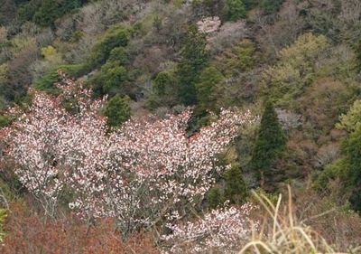 190413-05.jpg