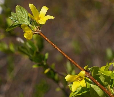 190421-18.jpg