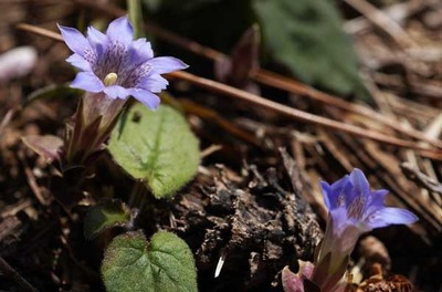 190421-20.jpg