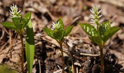 190421-21.jpg