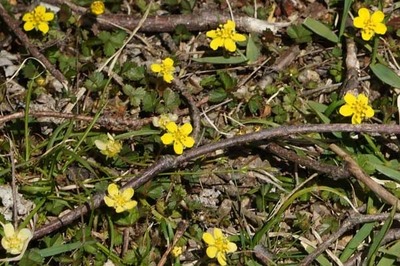 190421-22.jpg