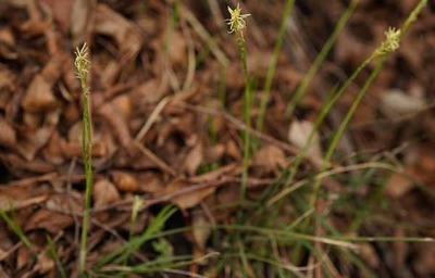 190421-24.jpg
