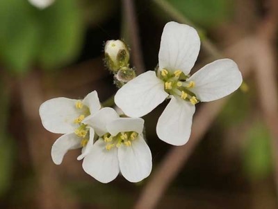 190421-25.jpg