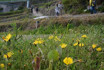 190427-11.jpg