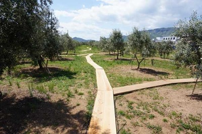 190427-12.jpg