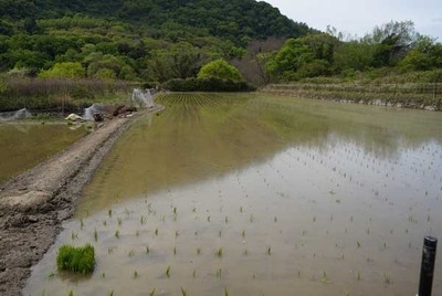 190427-18.jpg