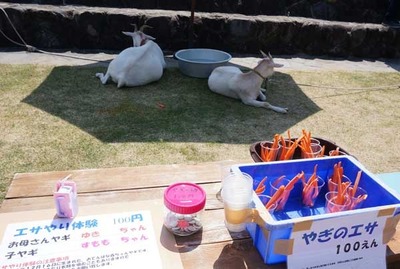 190512-14.jpg