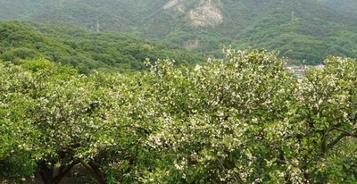 190519-12.jpg