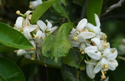 190519-13.jpg