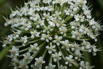 190519-15.jpg
