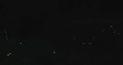 190519-19.jpg