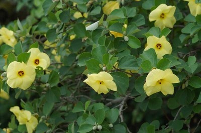 190714-10.jpg