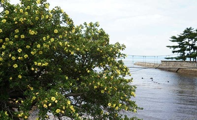 190714-11.jpg