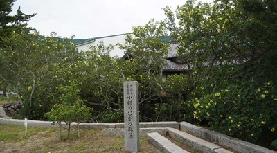 190714-12.jpg