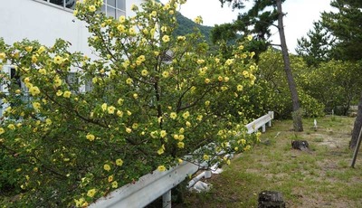 190714-13.jpg