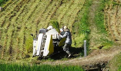 190811-08.jpg