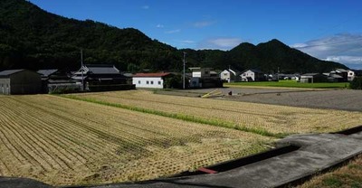 190811-10.jpg