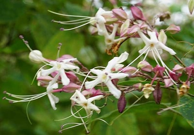 190901-07.jpg