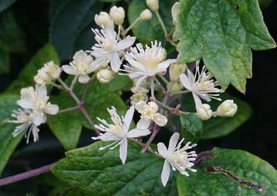190901-10.jpg