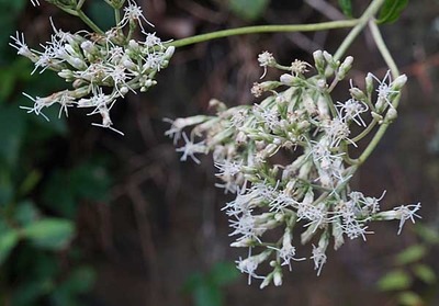 190901-12.jpg