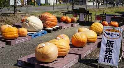 190915-04.jpg
