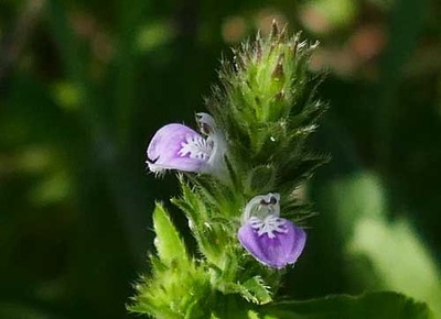 190922-04.jpg