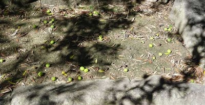 190922-13.jpg
