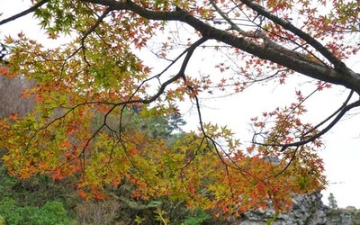 191102-38.jpg