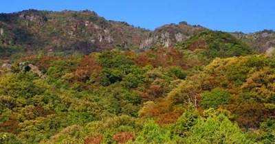 191109-10.jpg